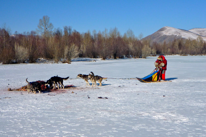 Mongolia